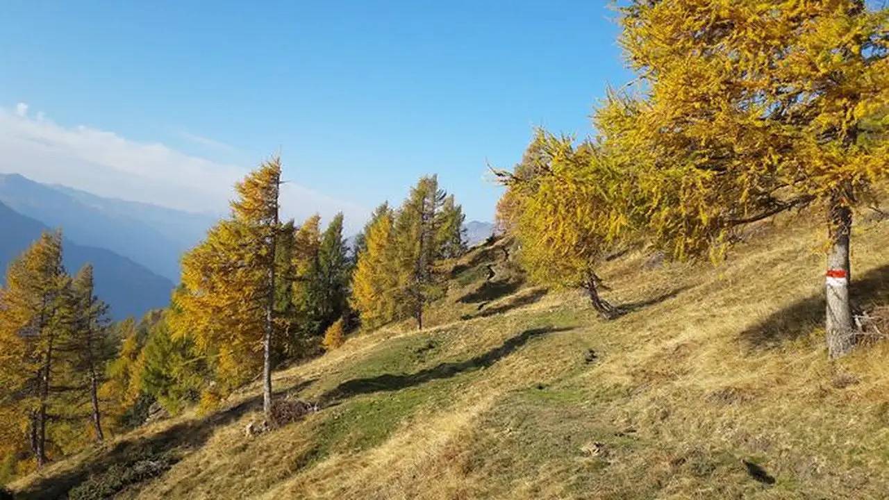 Ganze Ferienwohnung, Ferienwohnung für 2 Personen (30 m²) in Obervellach in Obervellach, Bezirk Spittal an der Drau