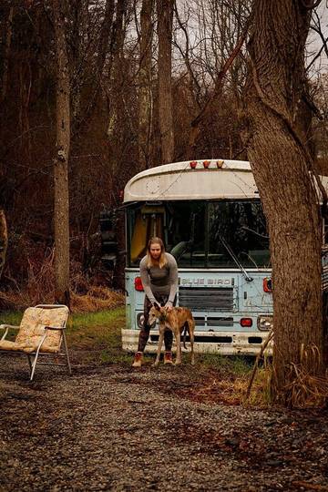 Camping para 4 Personas en Blue Ridge Mountains, Virginia, Foto 2