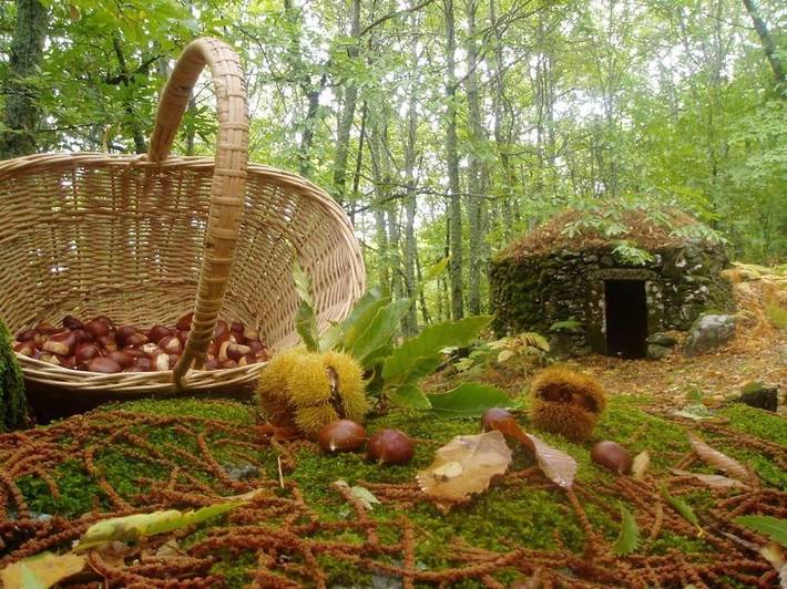 Casa rural para 6 personas, con balcón en Montánchez - 3