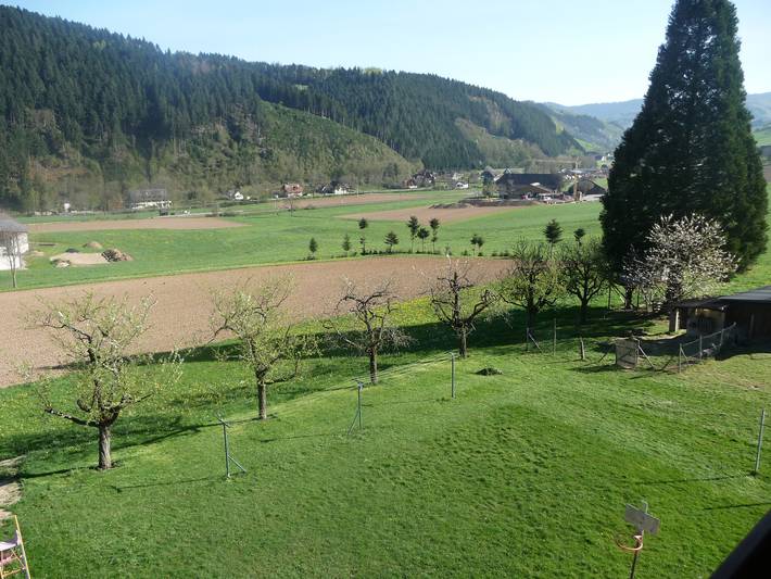 Ferienwohnung für 4 Personen, mit Balkon und Garten in Zell am Harmersbach - 4