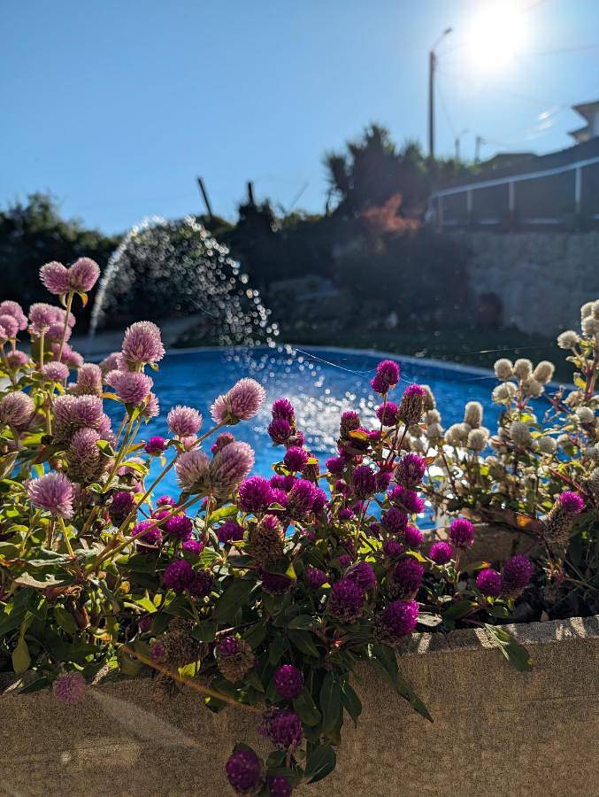 Casa de férias para 5 pessoas, com jardim e piscina e ainda piscina infantil, com animais de estimação em Paredes