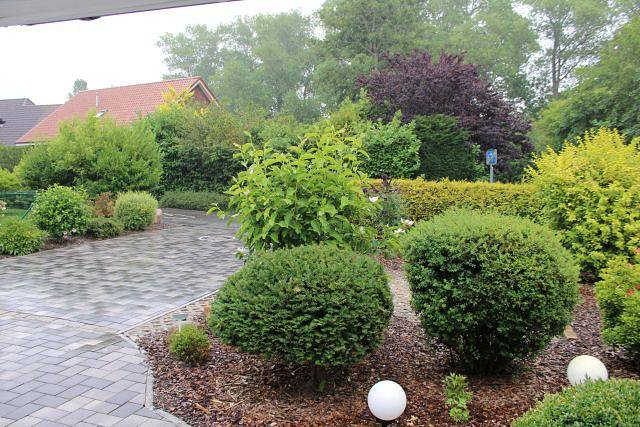 Ferienhaus für 2 Personen, mit Terrasse in Elbe-Weser - 2