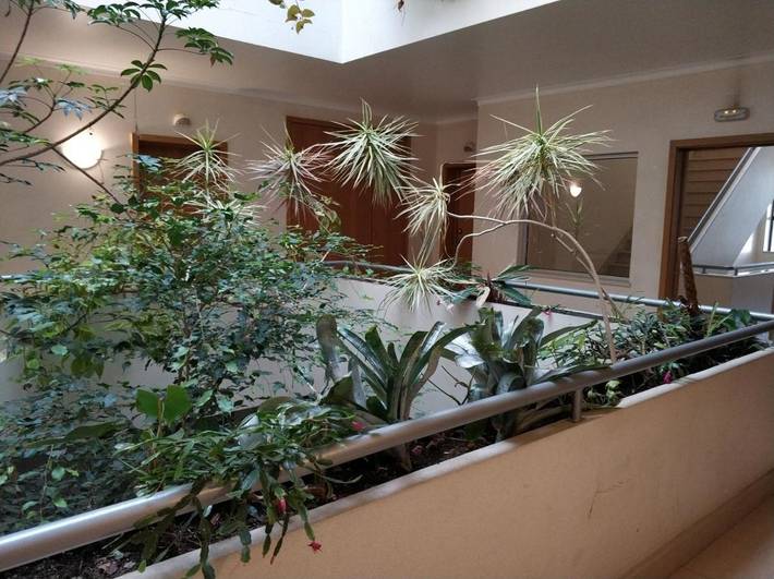 Gîte pour 5 personnes, avec vue et balcon à Buarcos - 3