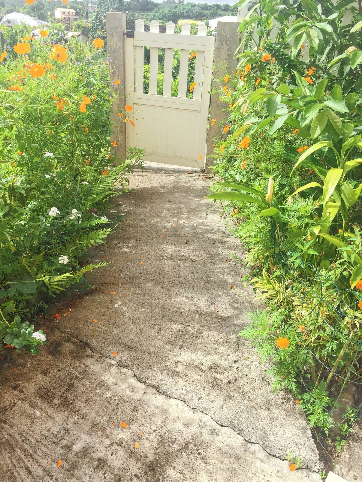 Studio entier, Charmant studio à La Trinité de 20 m² in La Trinité, Martinique