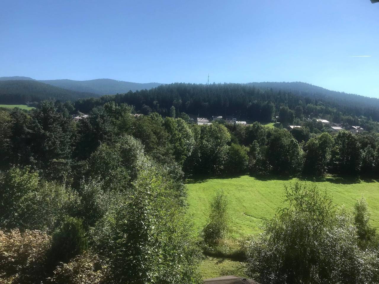 Ferienwohnung Traummichel - Ferienwohnung (65qm) mit zwei Schlafzimmern und Wlan in Lam, Ostbayern