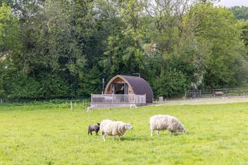 Glamping für 2 Personen, mit Garten und Terrasse in England