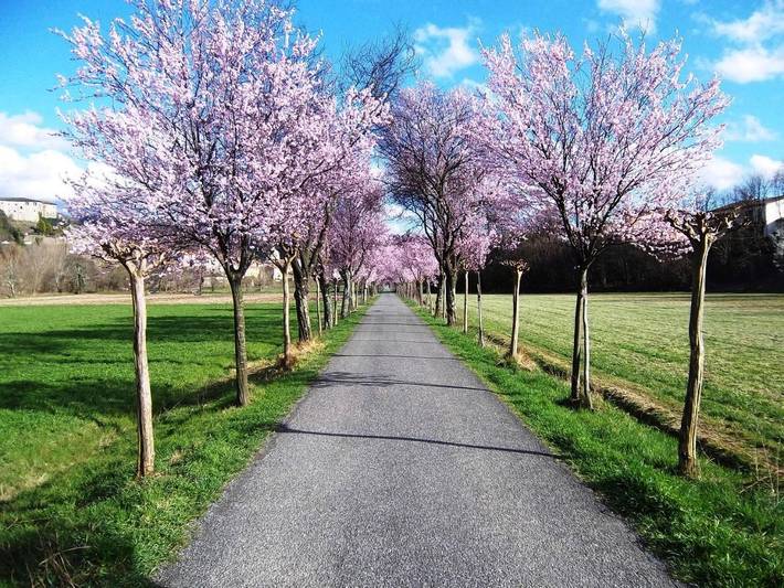 Location de vacances pour 3 personnes, avec vue et jardin à Pontremoli - 3