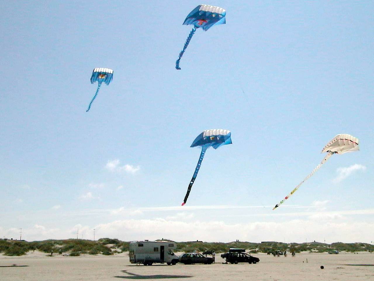 Ganze Wohnung, 4 Personen Ferienhaus in Fanø-By Traum in Nordby, Fanø