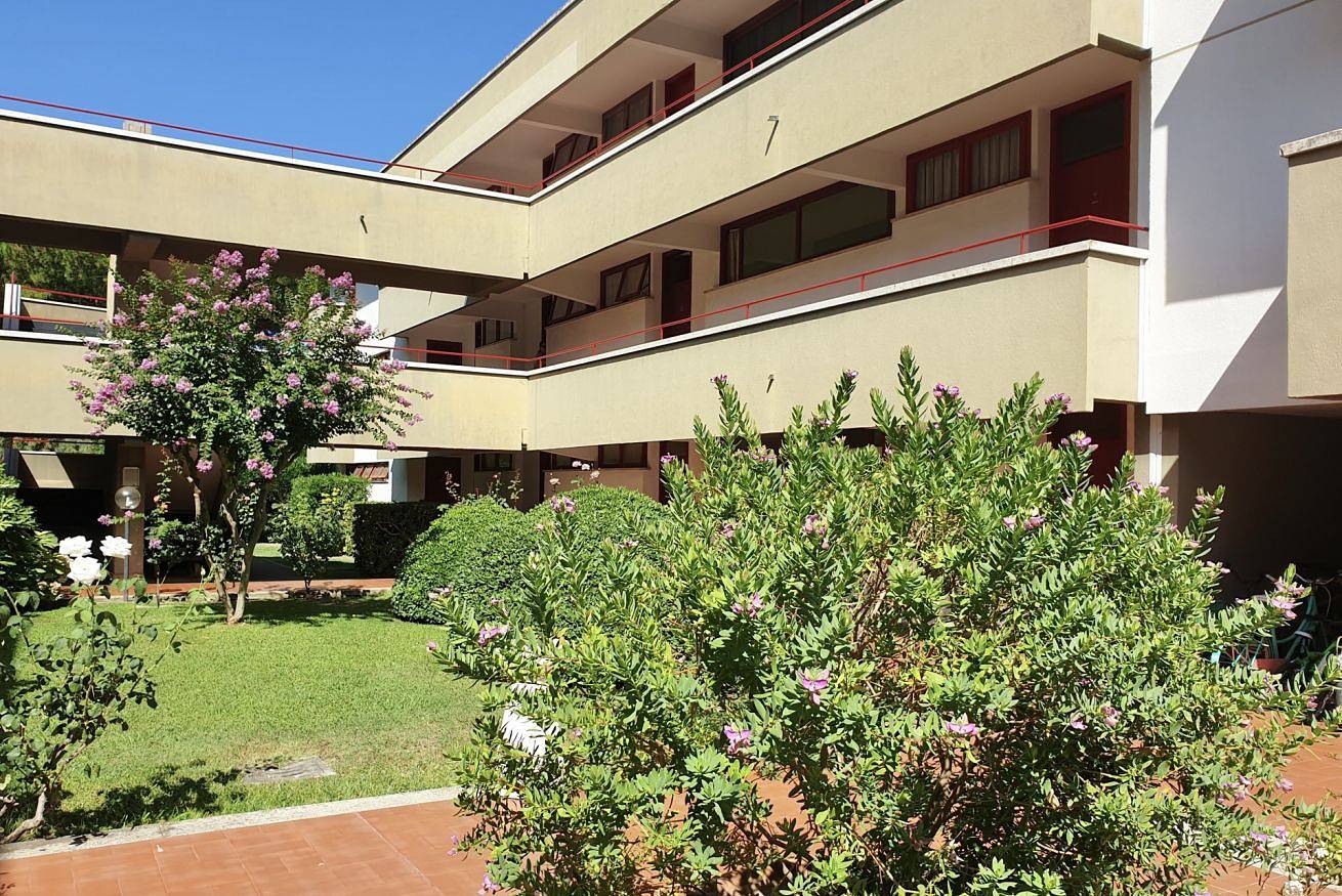 Monolocale intero, Platani Monolocale 3 letti in Marina di Bibbona, Bibbona