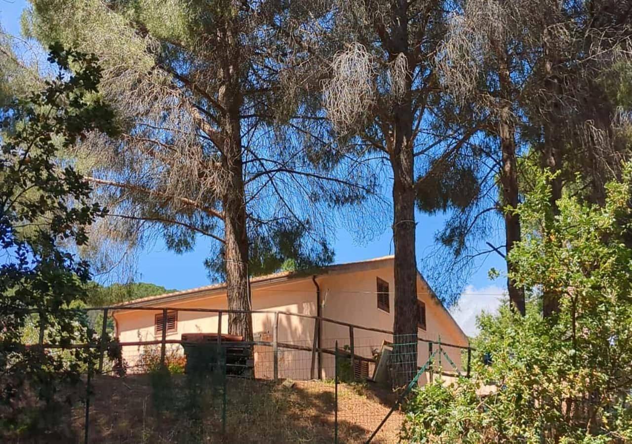 Seawoods - Nature Experience in Sant'Ambrogio, Cefalù (Comune)