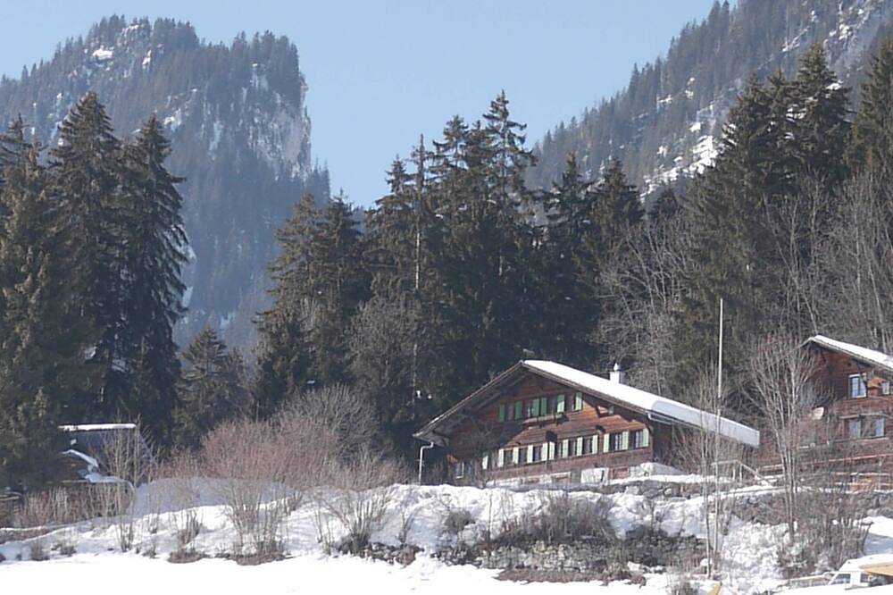 Ganze Wohnung, Auf der Mauer by Interhome in Oberwil im Simmental, Berner Oberland
