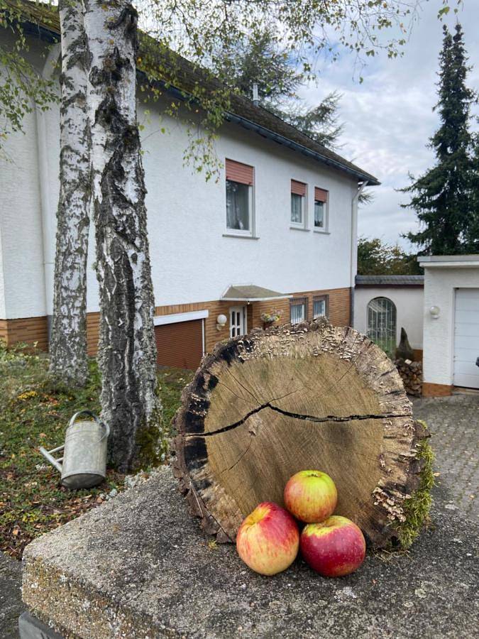 Ferienwohnung für 3 Personen, mit Terrasse und Garten sowie Ausblick