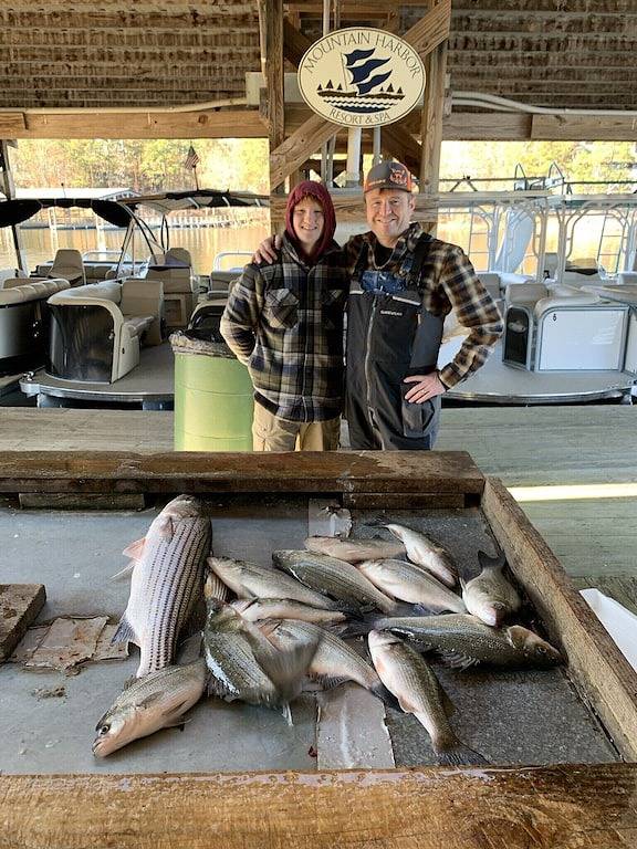 Ganze Wohnung, Thematische Eigentumswohnung der auf Lager angelnden Kabine auf See Ouachita in Lake Ouachita