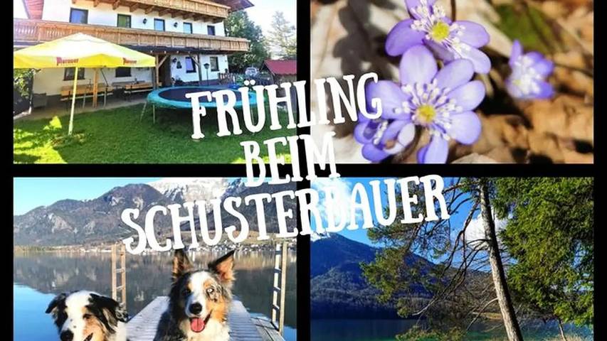 Bauernhof für 2 Personen, mit Garten im Salzkammergut - 3