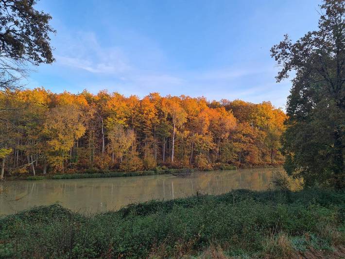 Location de vacances pour 14 personnes, avec vue sur le lac et jardin ainsi que vue et piscine à Mareuil-sur-Cher - 3