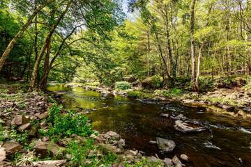 Vacation Rental for 16 Guests in Ulster County, Picture 2