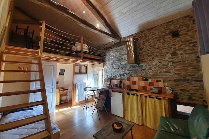 Location de vacances pour 18 personnes, avec jardin et terrasse, animaux acceptés à Andouque - 3