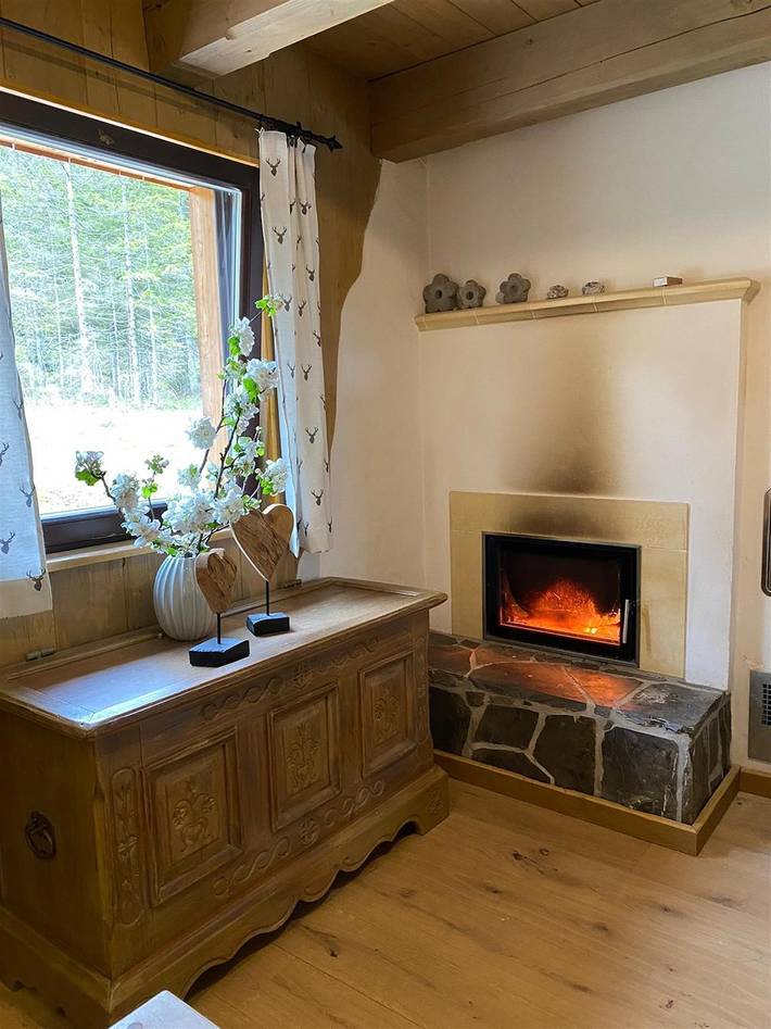 Ferienhaus, Toilette und Bad/Dusche getrennt, 2 Sc in Wildalpen, Mostviertel