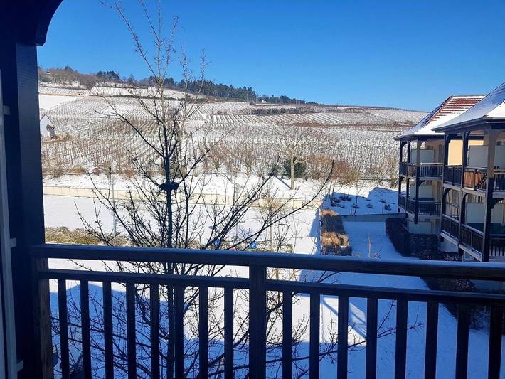 Gîte pour 3 personnes, avec sauna et vue ainsi que piscine et jardin, animaux acceptés à Bergheim - 2