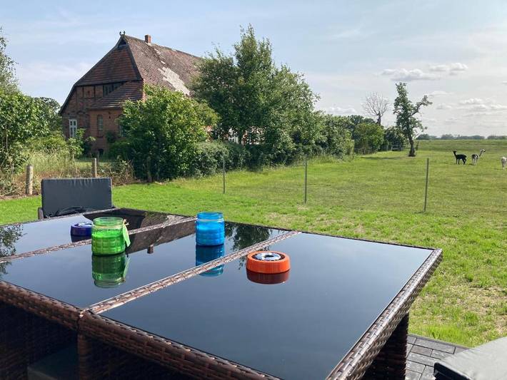 Ferienwohnung für 5 Personen, mit Terrasse und Garten sowie Ausblick in Amt Neuhaus - 3