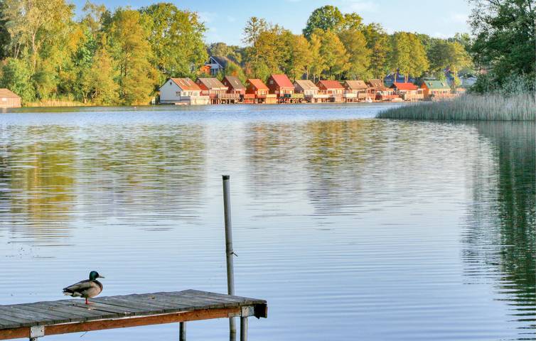 Ferienhaus für 5 Personen, mit Terrasse und Garten sowie Seeblick in Rheinsberg - 4
