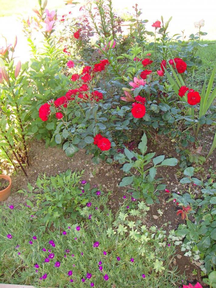 Location de vacances pour 5 personnes, avec jardin à Saint-Léonard-de-Noblat - 4