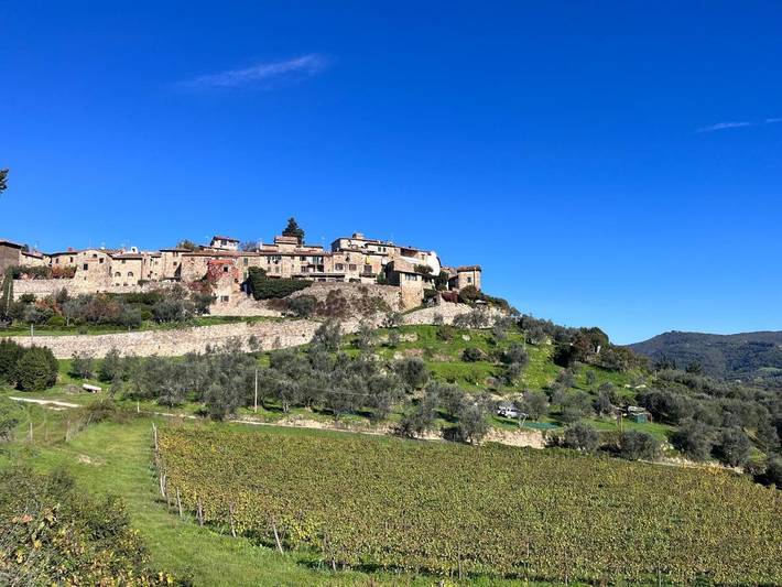 Gîte pour 4 personnes, avec jardin et terrasse, animaux acceptés à Greve In Chianti - 2