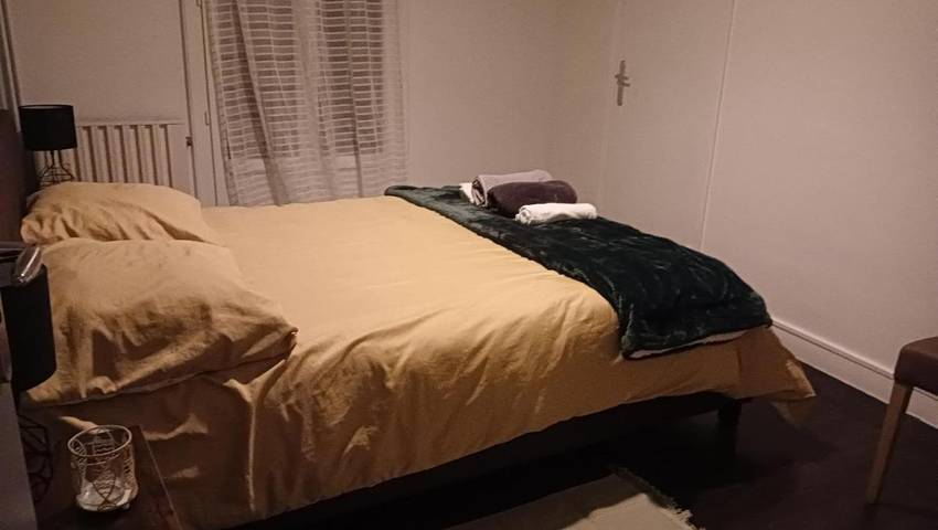 Gîte pour 4 personnes, avec jardin à Fleury-les-Aubrais - 2