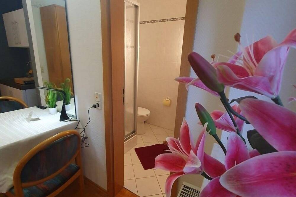 Ganze Wohnung, Ferienwohnung/App. für 2 Gäste mit 24m² in Zwingenberg in Zwingenberg, Bergstraße