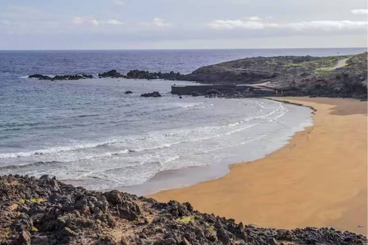 Live El Porís Begonia 87 in Porís de Abona, Tenerife du Sud