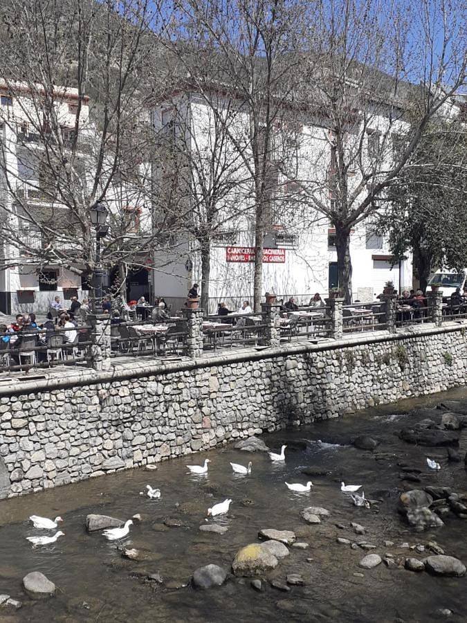 Gîte pour 3 personnes, avec terrasse et vue à Pinos Genil - 2