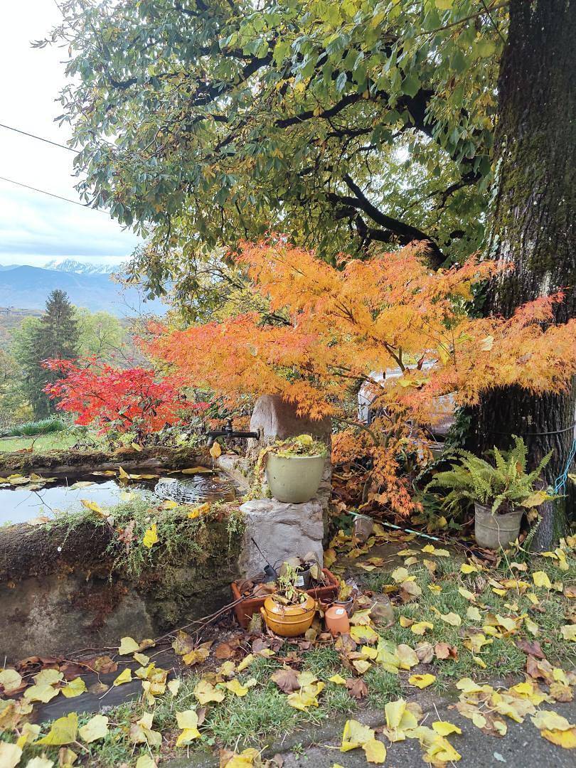 La Planta de Cossey 2 in Claix, Parc naturel régional du Vercors