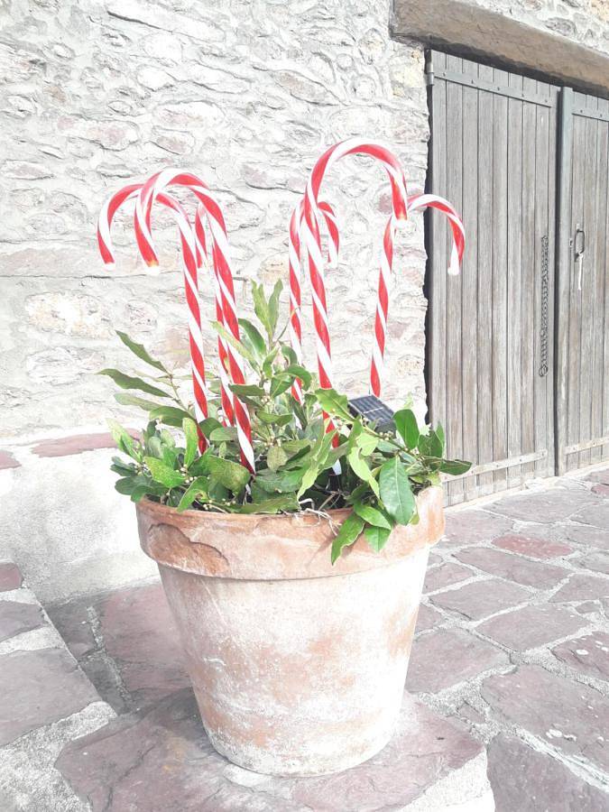 Location de vacances pour 4 personnes, avec jardin ainsi que terrasse et vue, animaux acceptés à Valdeblore - 3