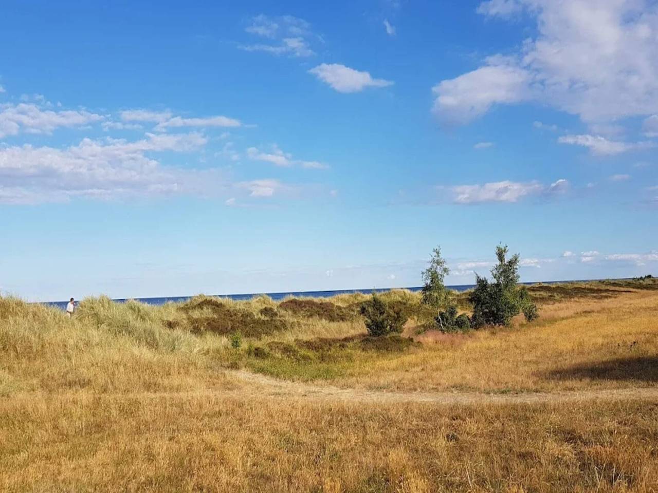 4 Sterne Ferienhaus in Væggerløse in Væggerløse, Schwedische Ostsee