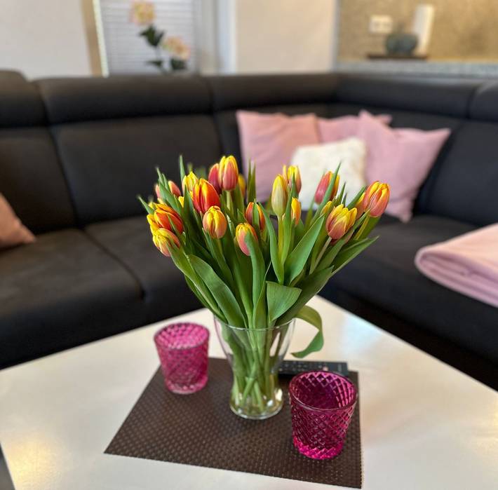 Ferienwohnung für 3 Personen, mit Sauna und Terrasse, mit Haustier in Meeschendorf - 4