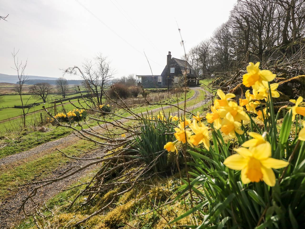 Netherscar in Yorkshire Dales National Park