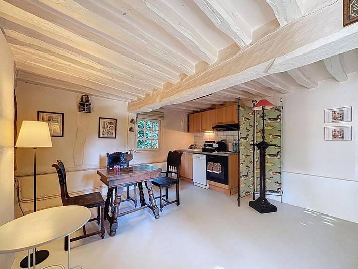 Location de vacances pour 6 personnes, avec jardin ainsi que vue et vue sur le lac, animaux acceptés à Vieux-Port (Eure) - 4