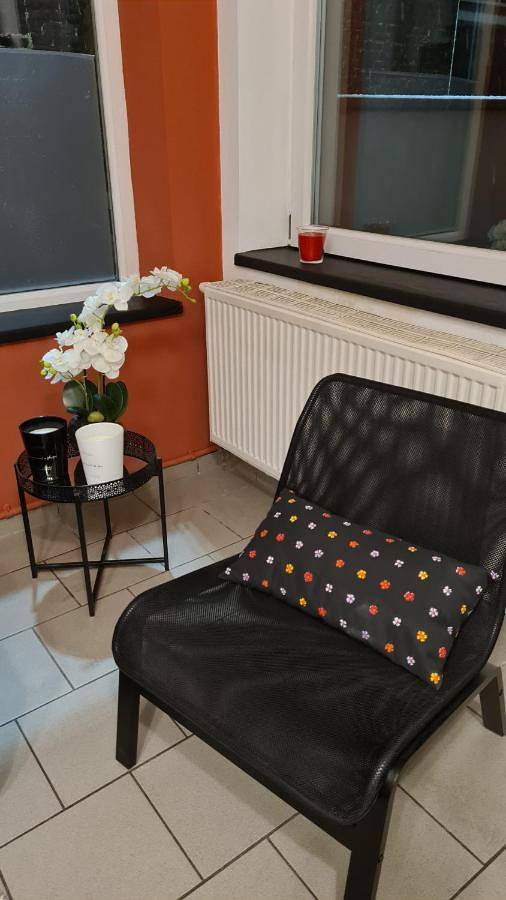 Gîte pour 6 personnes, avec terrasse dans Montignies Sur Sambre - 4