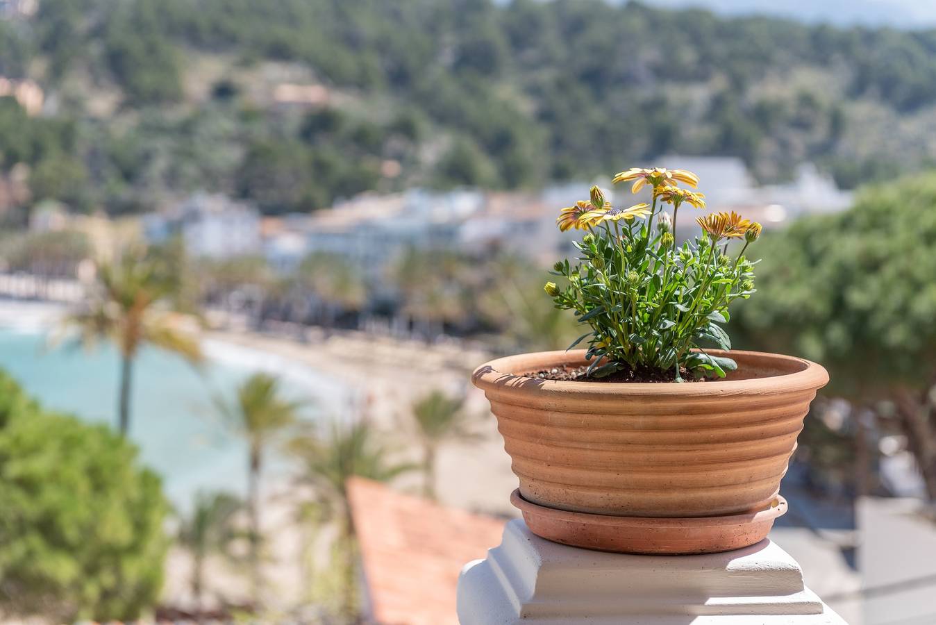 Villa sulla Spiaggia con Vista Mare a Port de Sóller. Giardino e Wi-Fi in Port de Sóller, Sóller