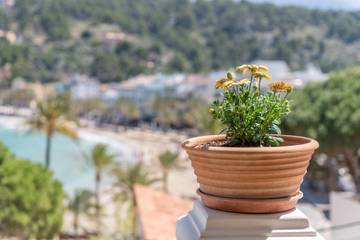 Ferienhaus in Sóller, Serra de Tramuntana für 4 
