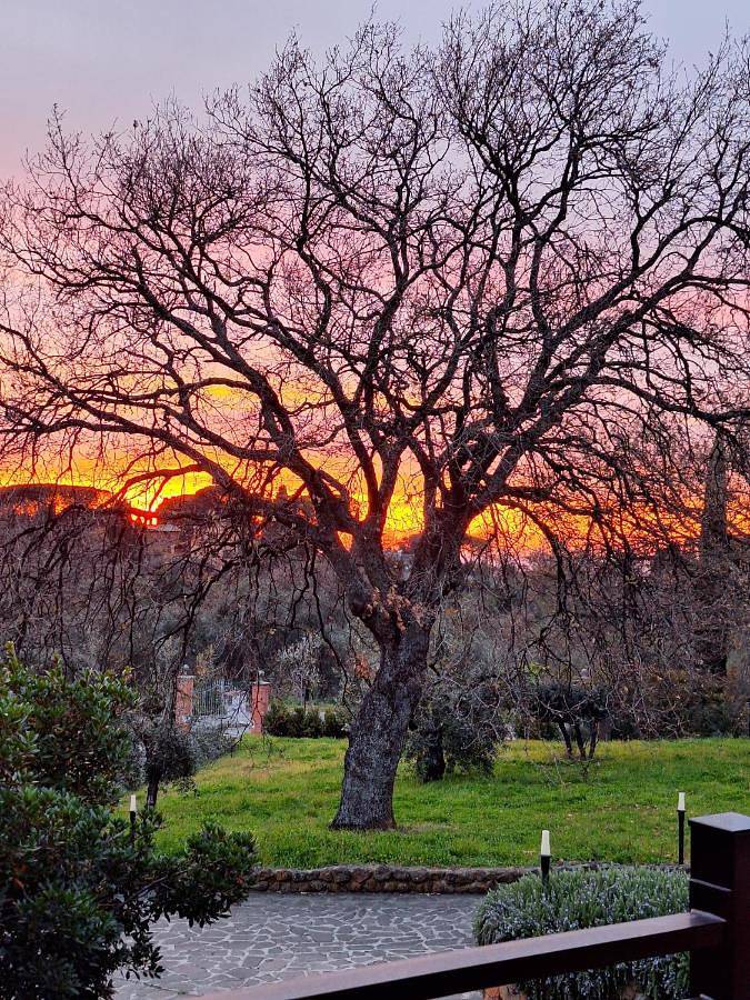 B&B Bee in Monte Porzio Catone, Castelli Romani