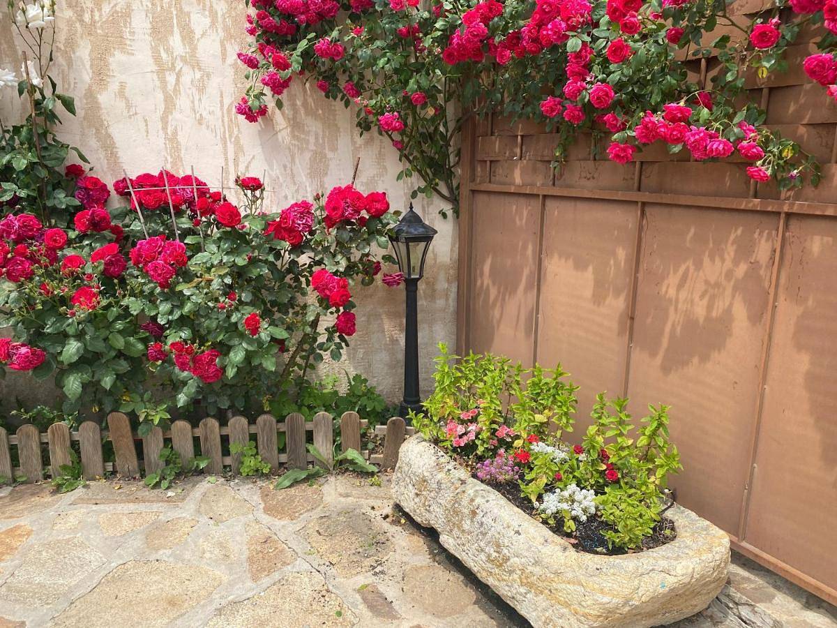 Apartamento entero, Maisonette in Montejo de la Sierra, Provincia de Madrid
