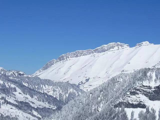 Ganzes Studio, Studio Ski an den Füßen in einer Residenz mit Außenpool und Tennis in Notre-Dame-de-Bellecombe, Albertville und Umgebung