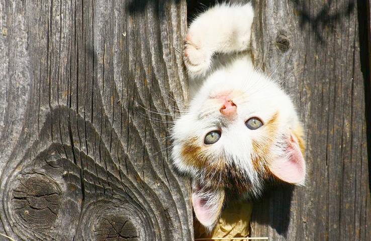 Bauernhaus für 4 Personen, mit Garten und Sauna, kinderfreundlich