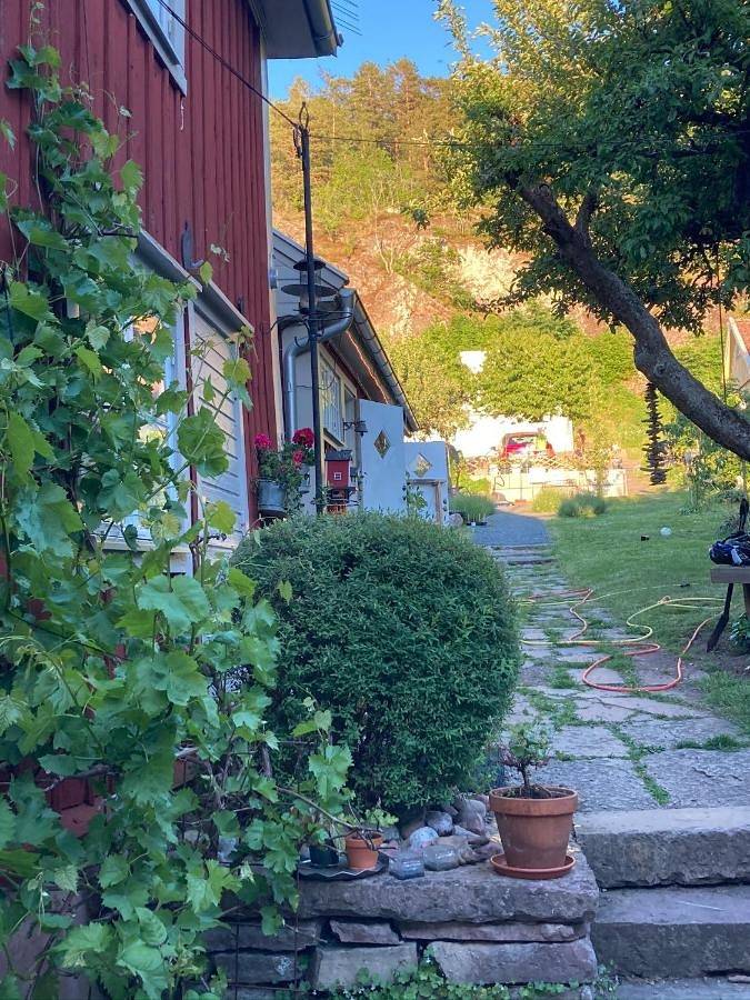 Pinglans bakficka in Jönköping, Vättern