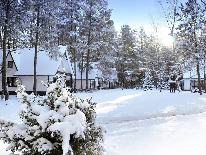 Ferienpark für 4 Personen, mit Terrasse und Pool sowie Sauna und Garten, kinderfreundlich in Mecklenburgische Seenplatte - 3