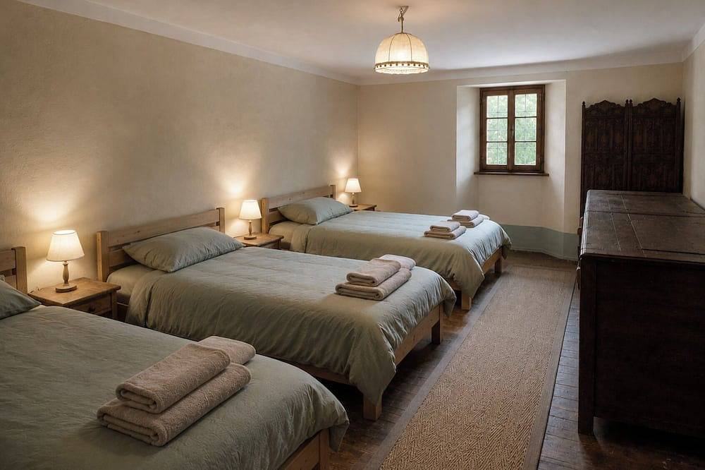 La Grande Maison Du Queiras - in the heart of Ville-vieille *Special group offer in Château-Ville-Vieille, Queyras