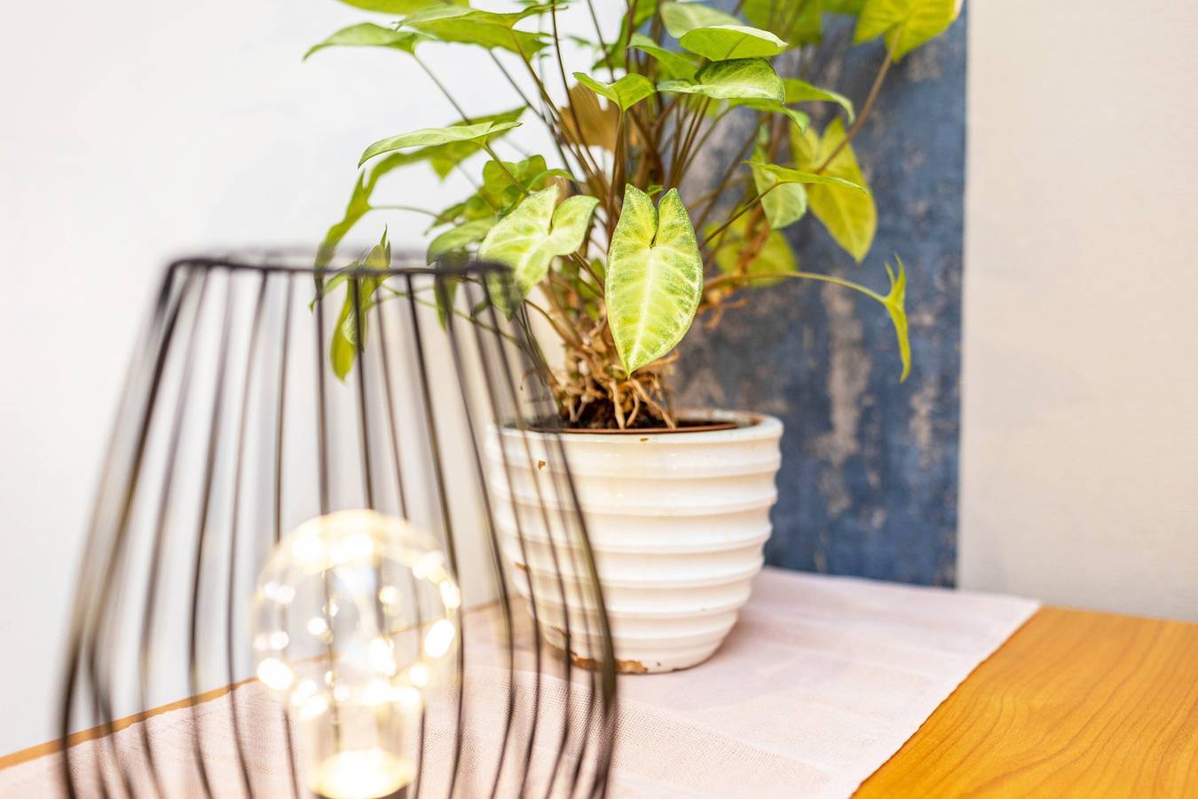 Zimmer Albrechtshof Familien Zimmer 13 mit gemeinsamer Terrasse und Wlan in Potsdam und Umgebung, Mittelmark