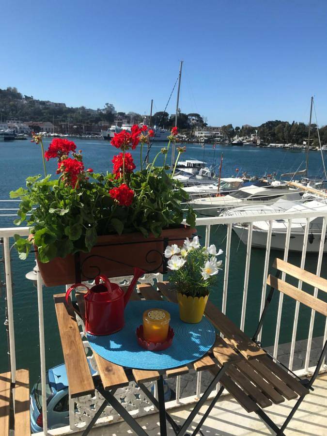 Apartamento de vacaciones para 4 personas, con vistas y terraza - 1