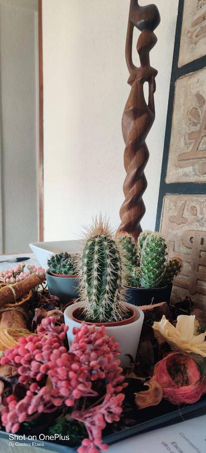 Gîte pour 5 personnes, avec vue à Vitoria-Gasteiz - 3